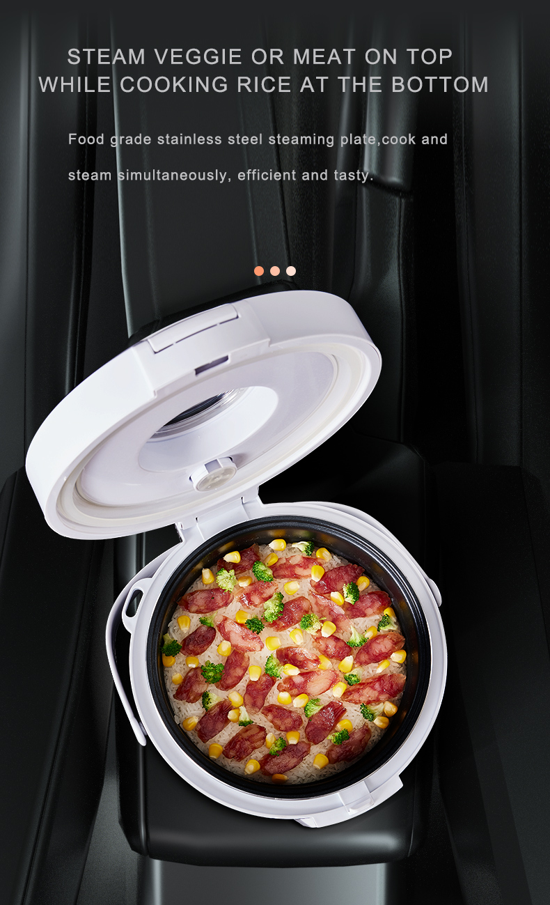 24V炊飯器トラック用スープスチーマー加熱式ランチボックスミ - Home Cooking Heater のレビューと価格